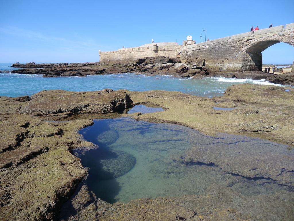 La Nube De San Miguel Lägenhet Cádiz Exteriör bild